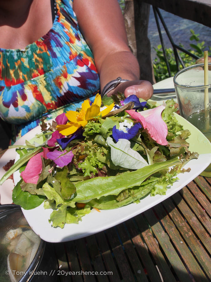 a delicious fresh salad complete with edible flowers and a homemade honey-mustard vinaigrette (so it wasn’t just yummy, but also pretty!)