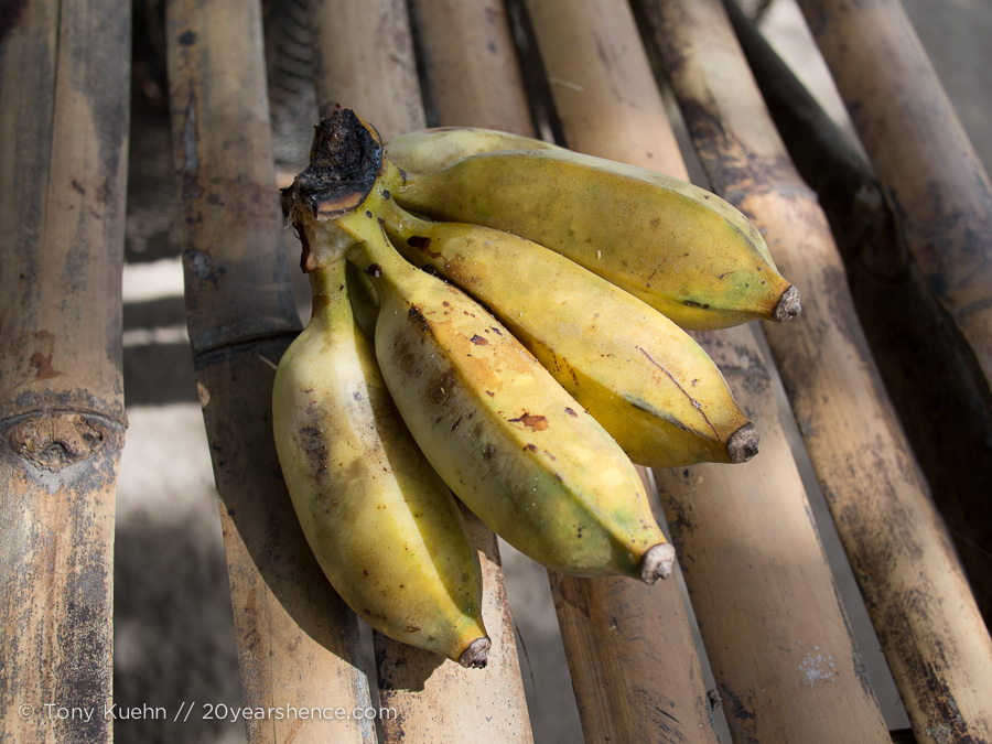 Apo plied us with fresh-from-the-tree bananas before lunch, as many as we could eat