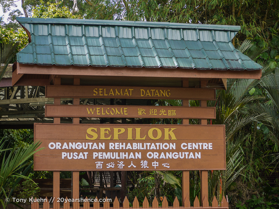 Sepilok Orangutan Rehabilitation Center, Borneo