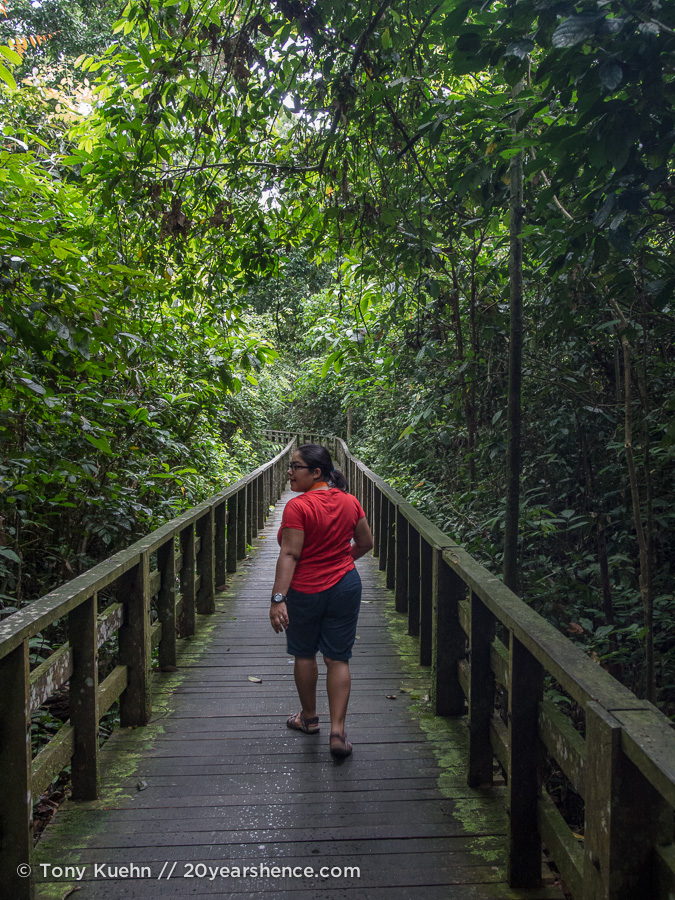 Nature walk at Sepilok Orangutan Rehabilitation Center
