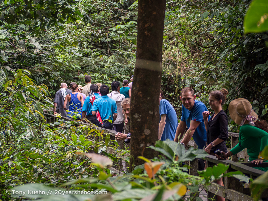 Crowds at Sepilok Orangutan Rehabilitation Center