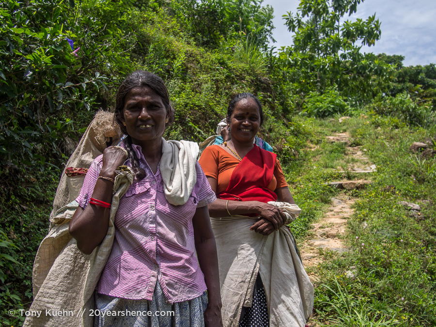 Tea pickers, outside Ella, Sri Lanka