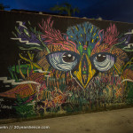 Street art in Playa del Carmen