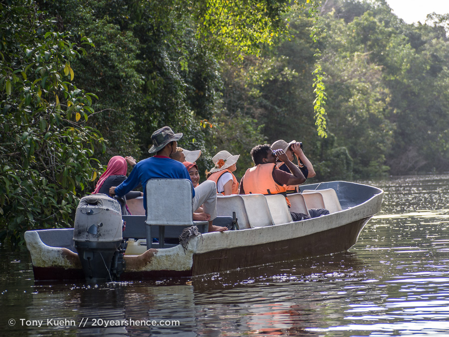 Borneo wildlife river safari on the Kinabatangan river