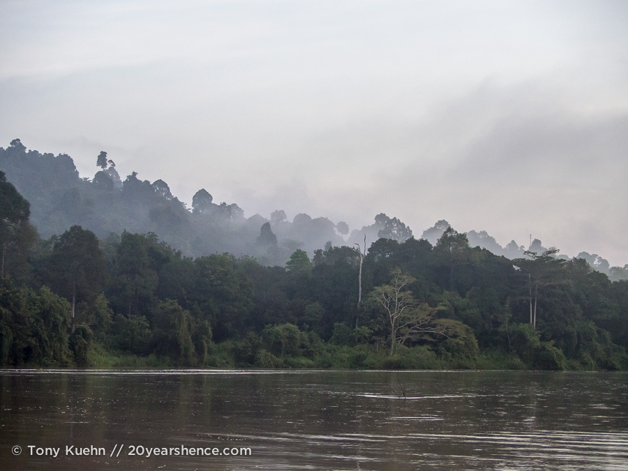 Kinabatangan river, Borneo