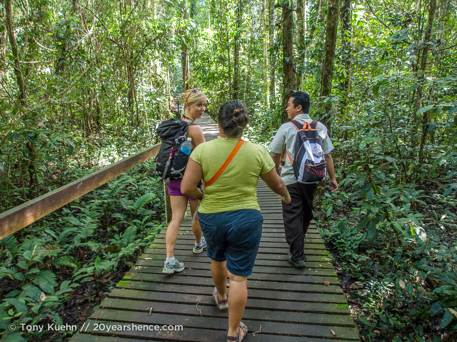 One of the many walkways through Mulu National Park