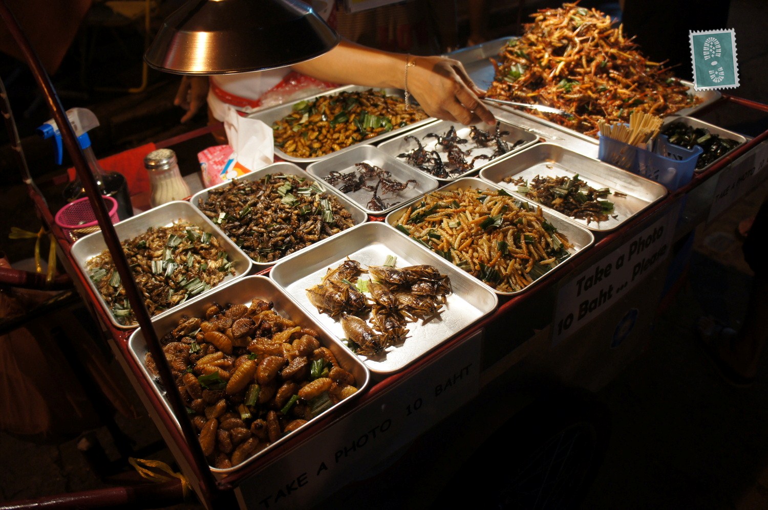 Insect food stand, Bangkok