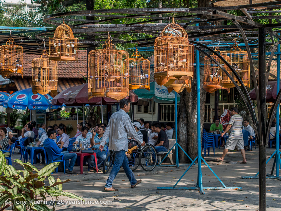 Songbird café, Ho Chi MInh City