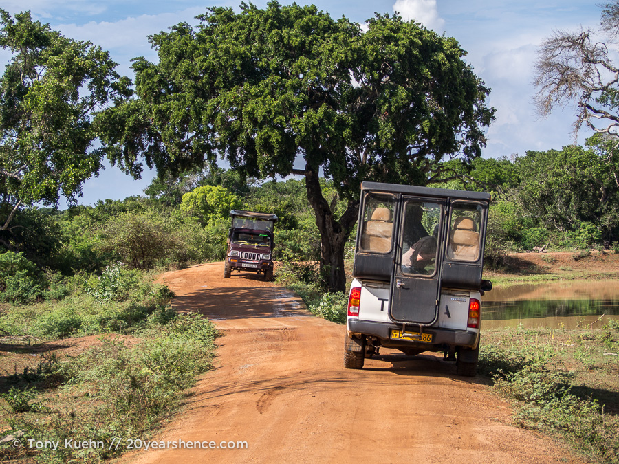 Jeeps in Yala National Park