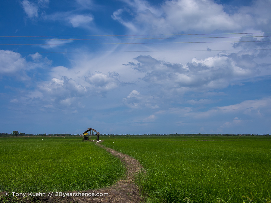 A little shack at the end of a path in a beautiful rice paddy near Baticaloa, Sri Lanka