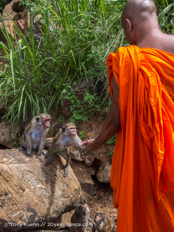 A monk and a monkey, near Baticaloa, Sri Lanka