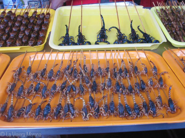 Scorpions in Wangfujing, Beijing, China