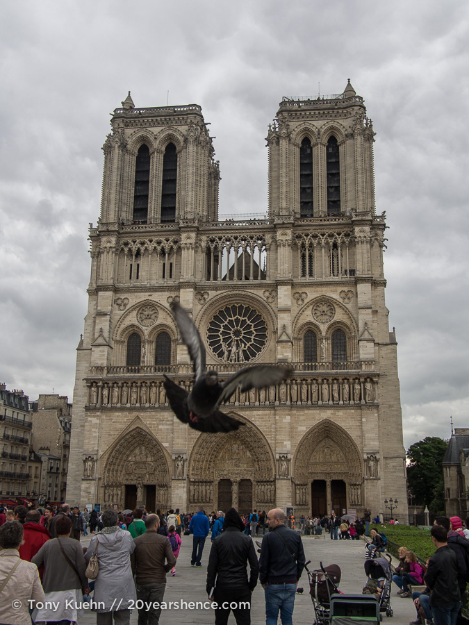 The Notre Dame Cathedral