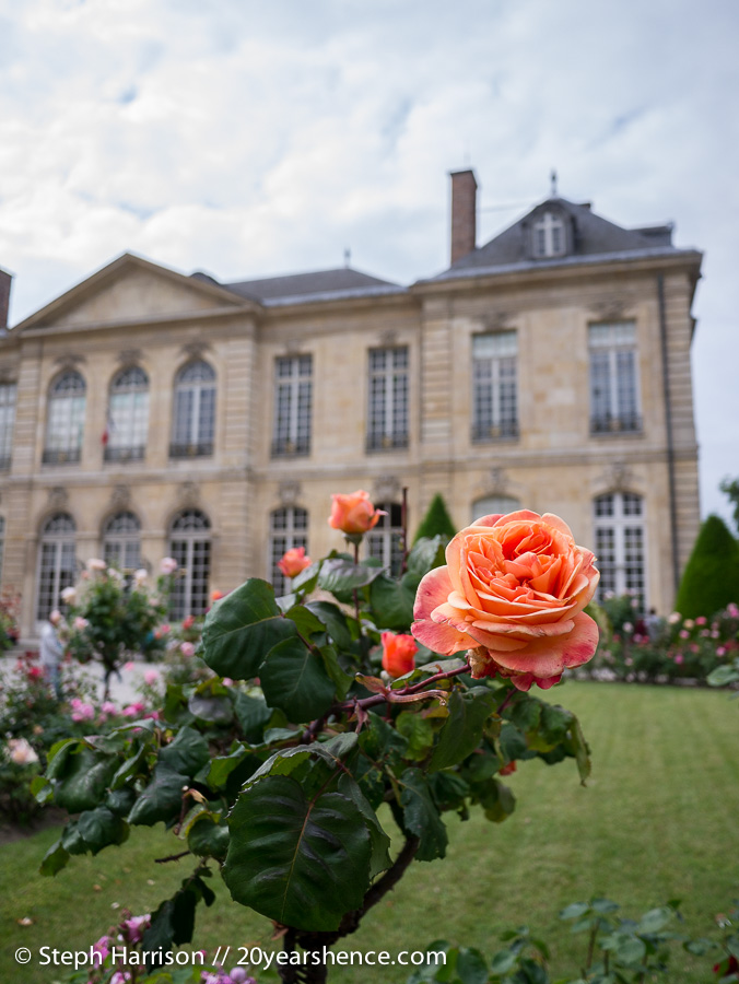 Pretty Musée Rodin Gardens