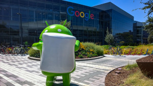 Solo in front of Googleplex